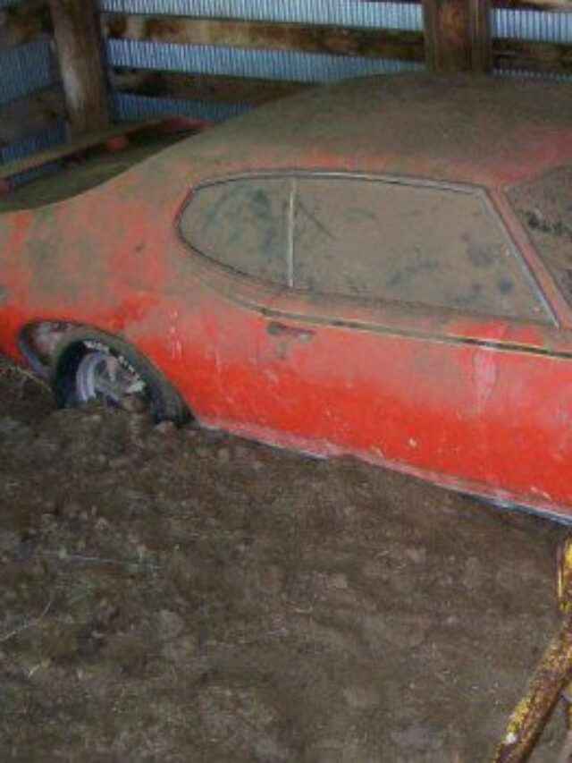 Abandonado por 25 anos, fantástico GTO 1969 é encontrado em estábulo