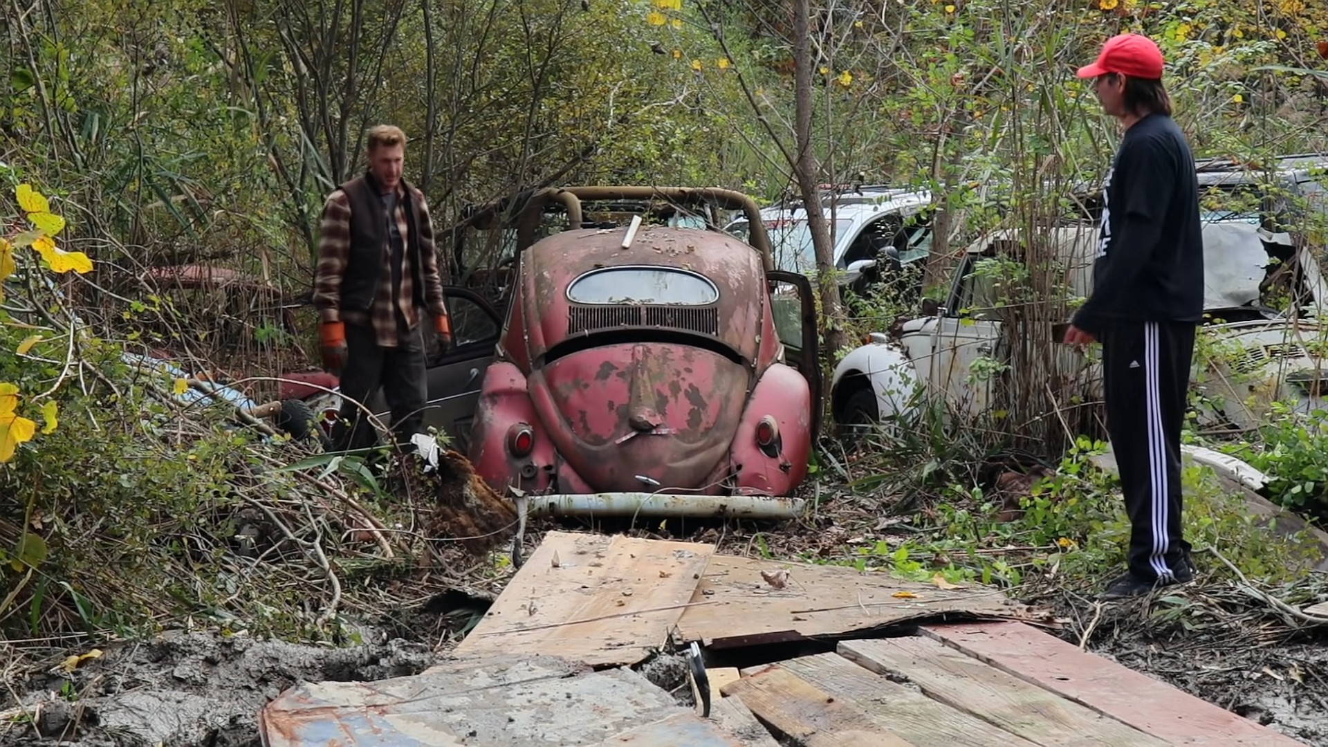 rare vw beetle spent 52 years in a junkyard gets rescued for full restoration 2