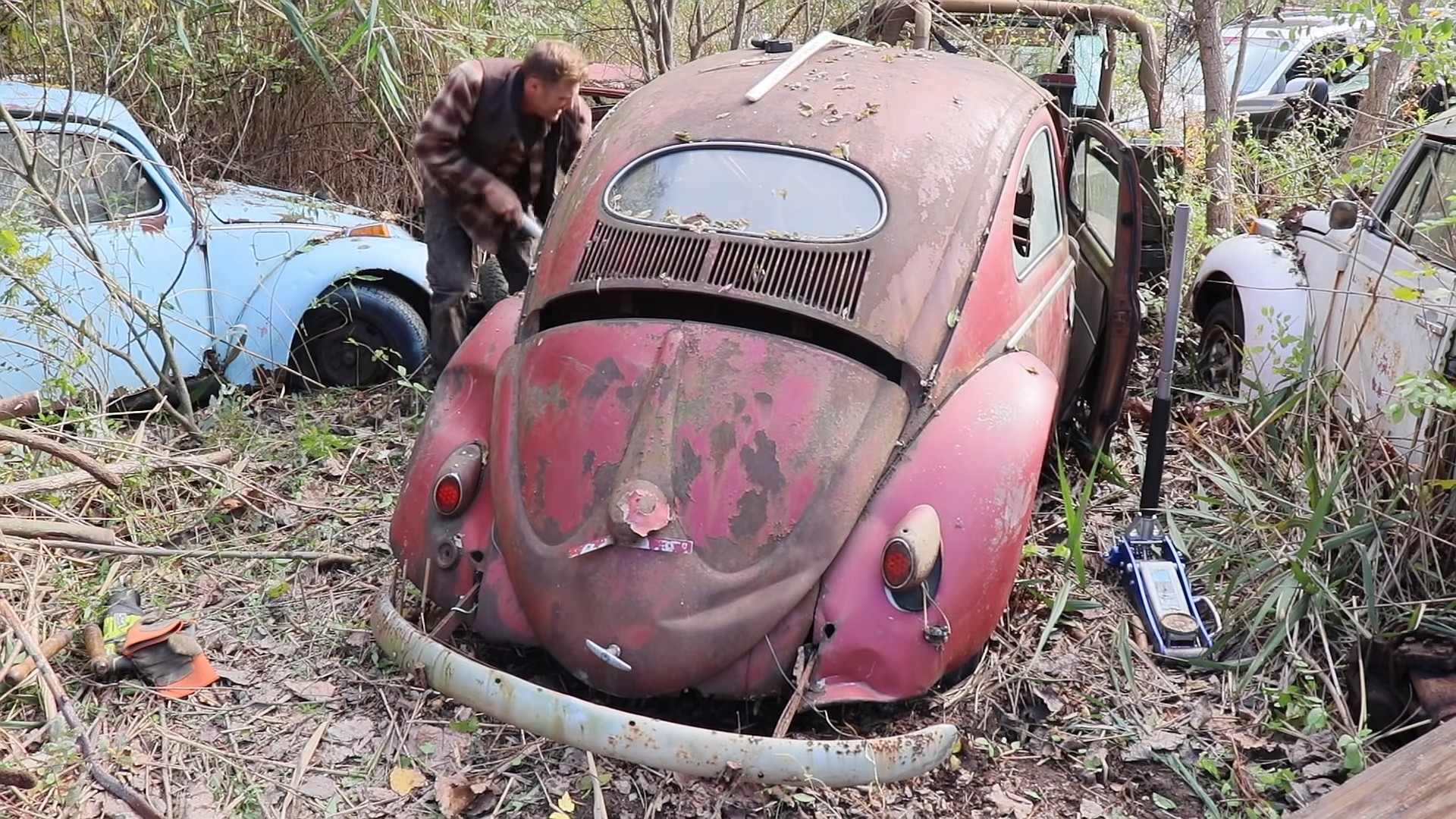 rare vw beetle spent 52 years in a junkyard gets rescued for full restoration 3