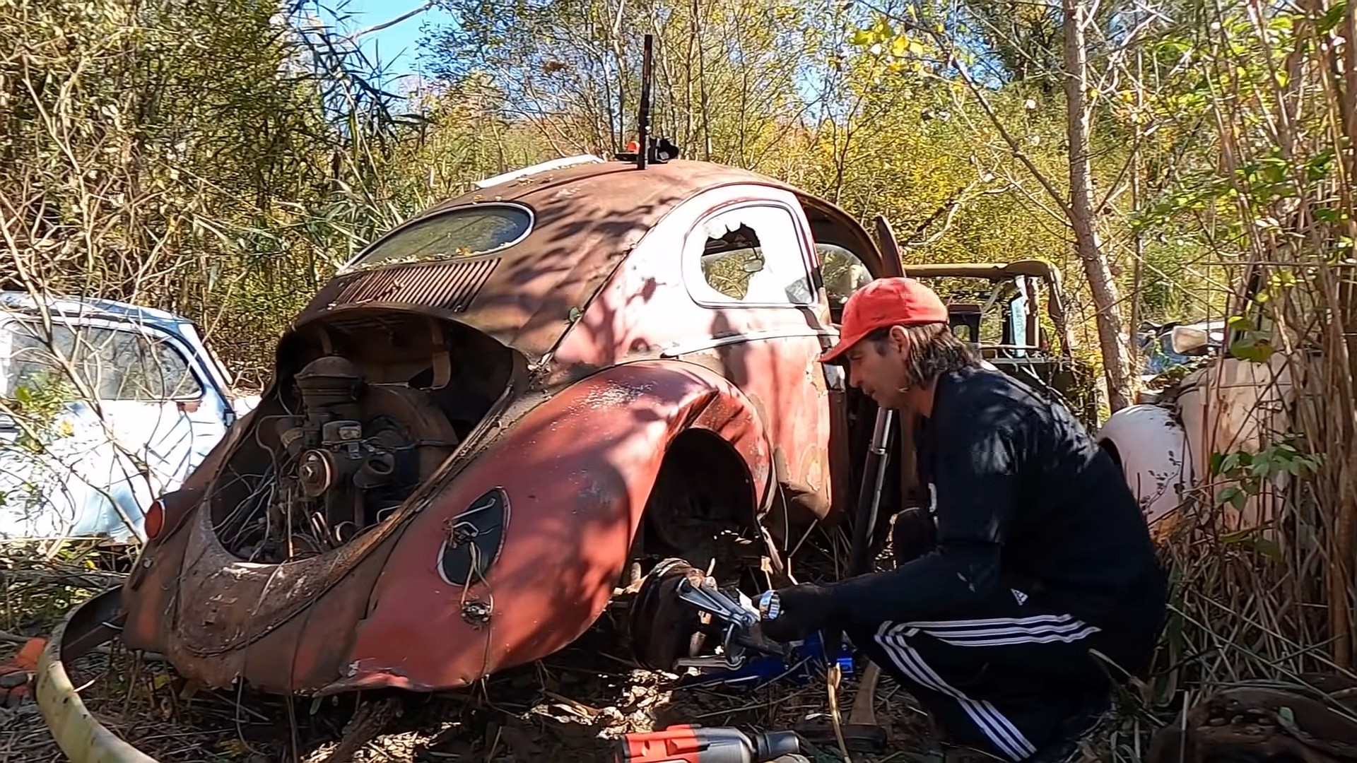 rare vw beetle spent 52 years in a junkyard gets rescued for full restoration 4
