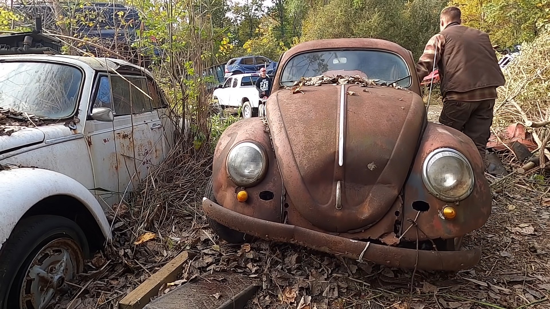 rare vw beetle spent 52 years in a junkyard gets rescued for full restoration 6