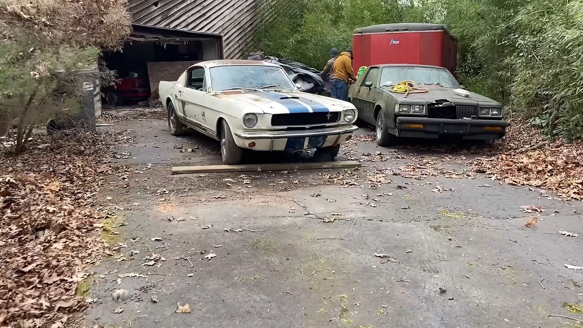 barn find gold 1965 shelby mustang gt350 stored for decades in abandoned house 4