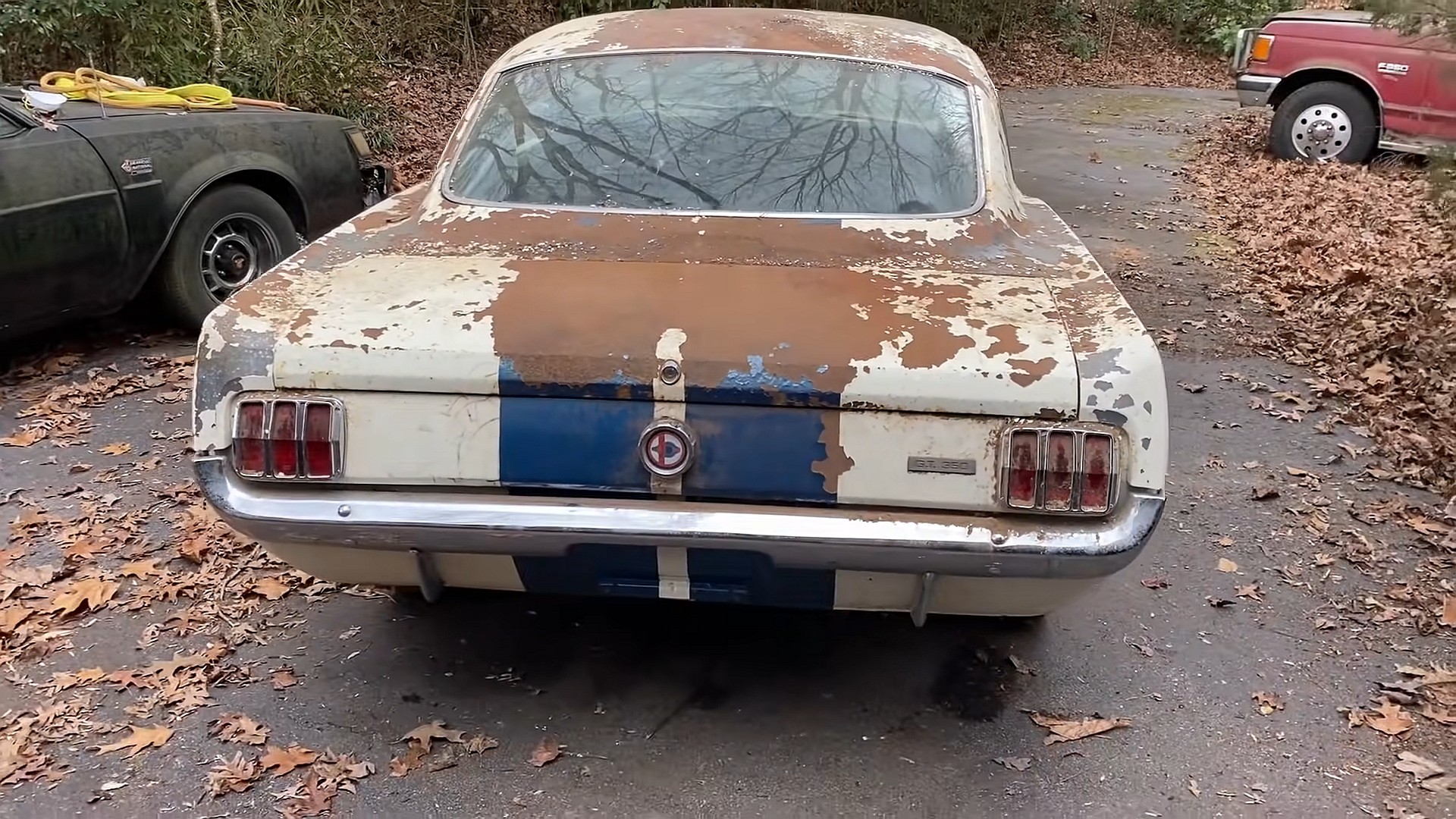 barn find gold 1965 shelby mustang gt350 stored for decades in abandoned house 6