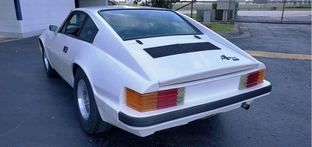 this imported brazilian puma gt is a rare animal in the states 7