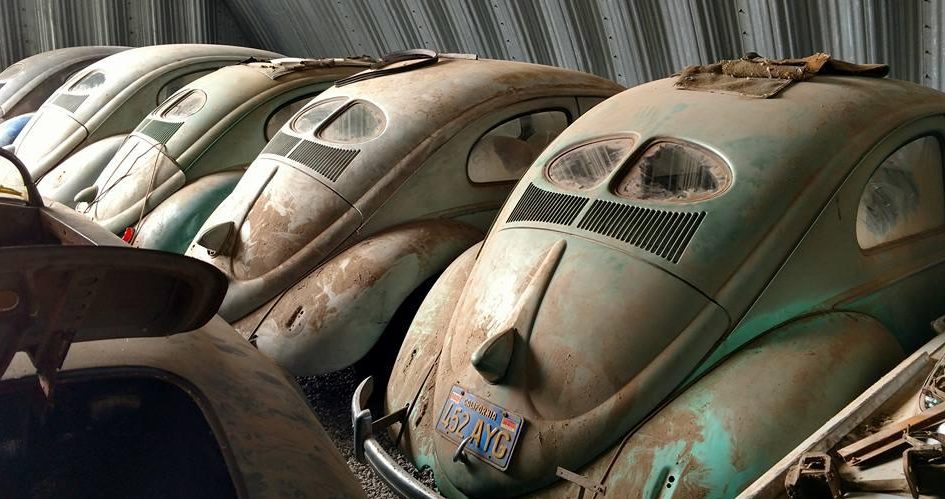 Coleção de Carros Antigos Encontrada Abandonada / Foto: Adam Blickhahn