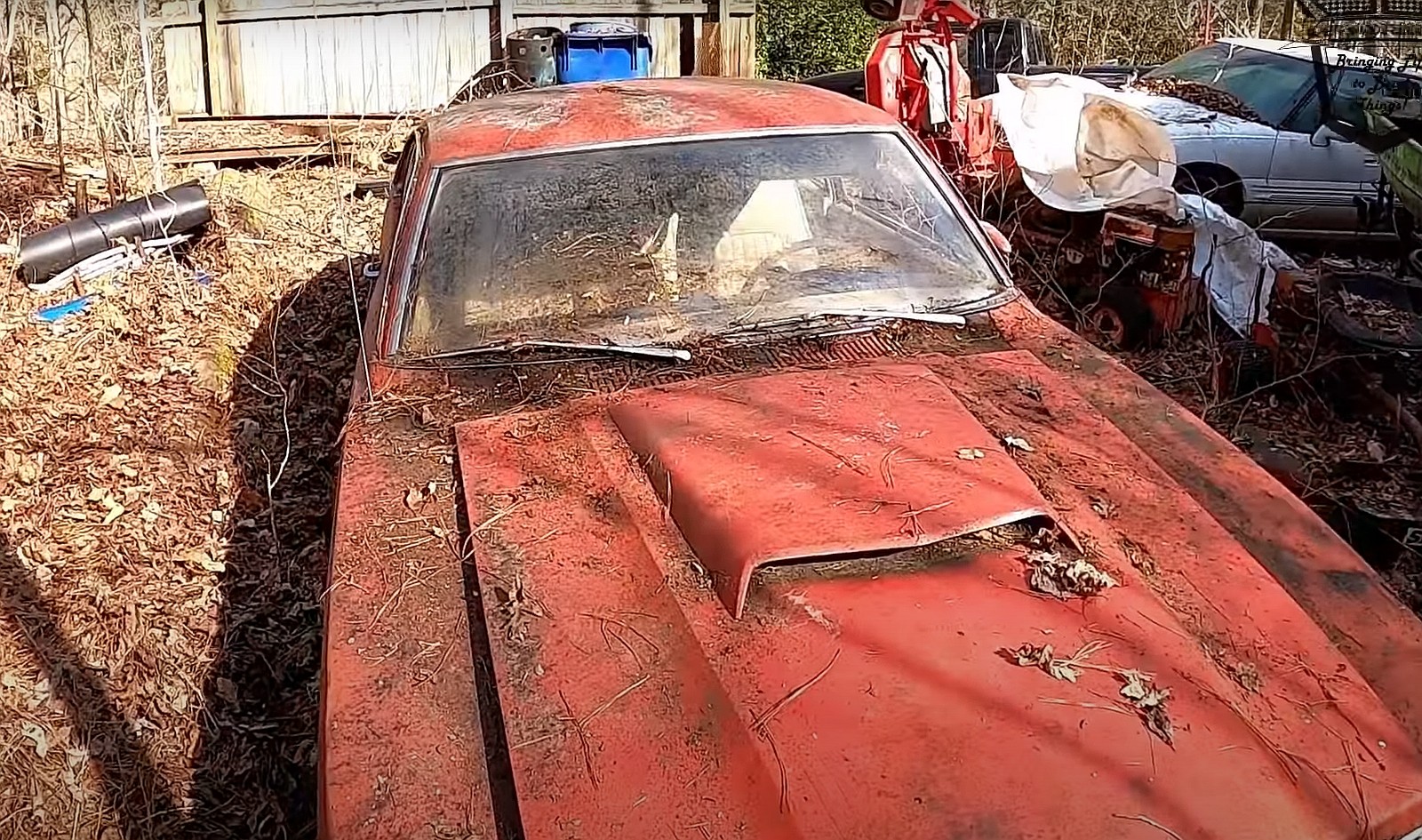 1973 mercury comet gt was left to rot in woods 302 v8 roars again after 36 years 1