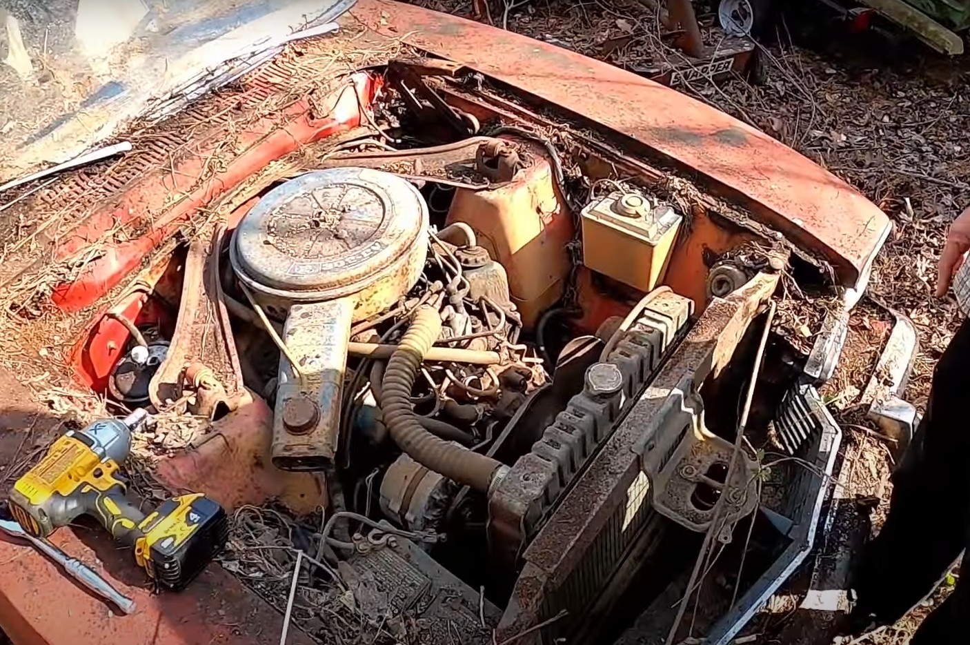1973 mercury comet gt was left to rot in woods 302 v8 roars again after 36 years 2