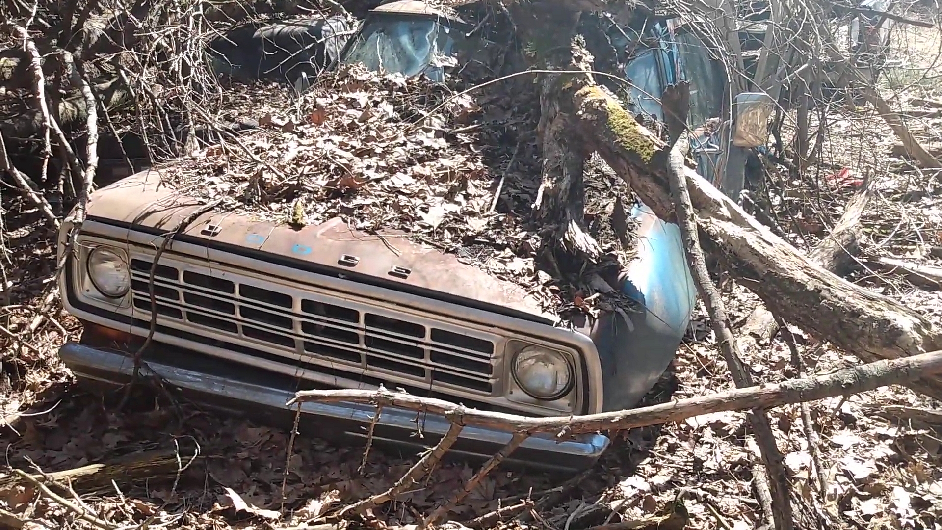 abandoned house in the woods has a yard full of old cars and trucks 190868 1