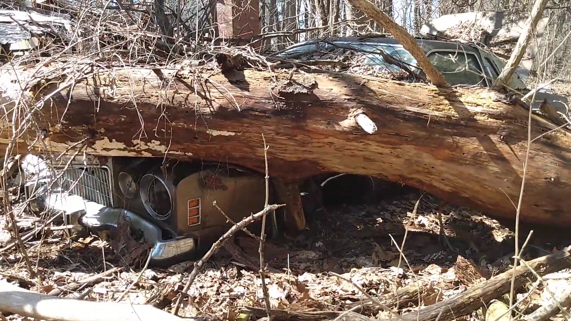 abandoned house in the woods has a yard full of old cars and trucks 3