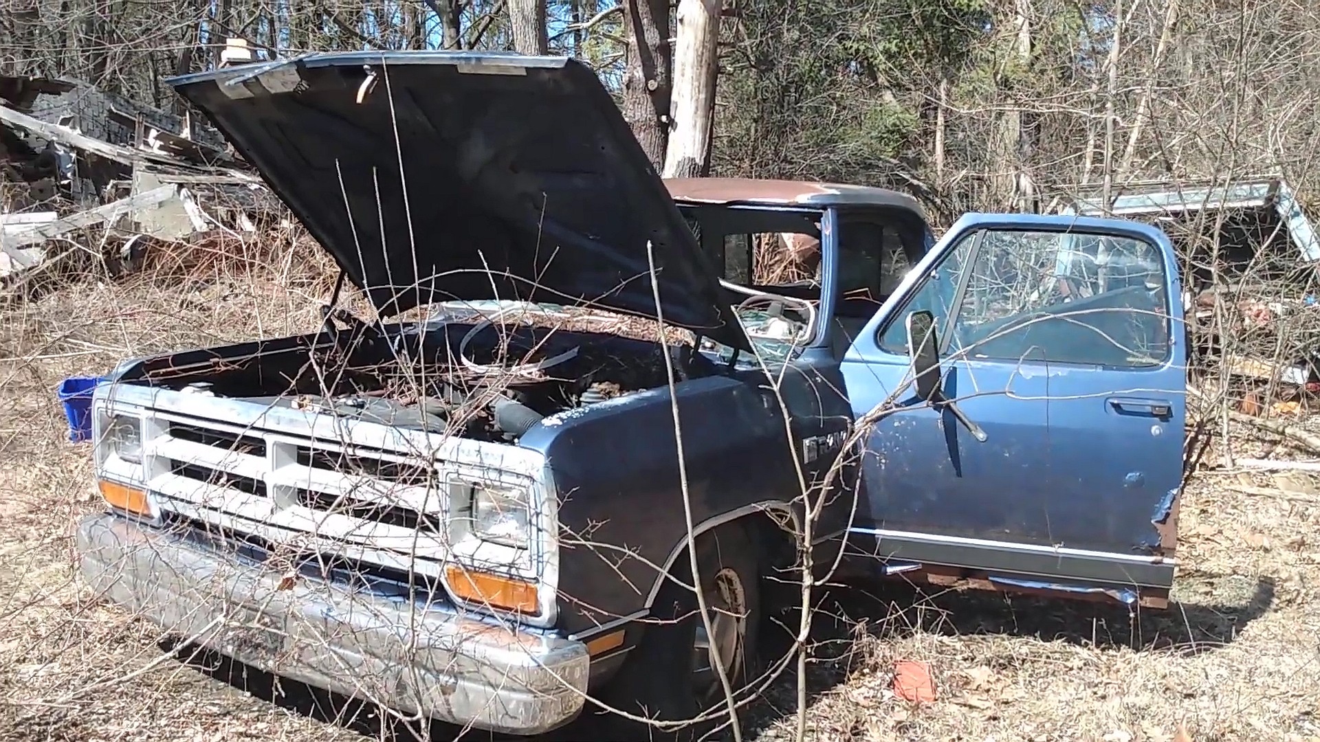 abandoned house in the woods has a yard full of old cars and trucks 5