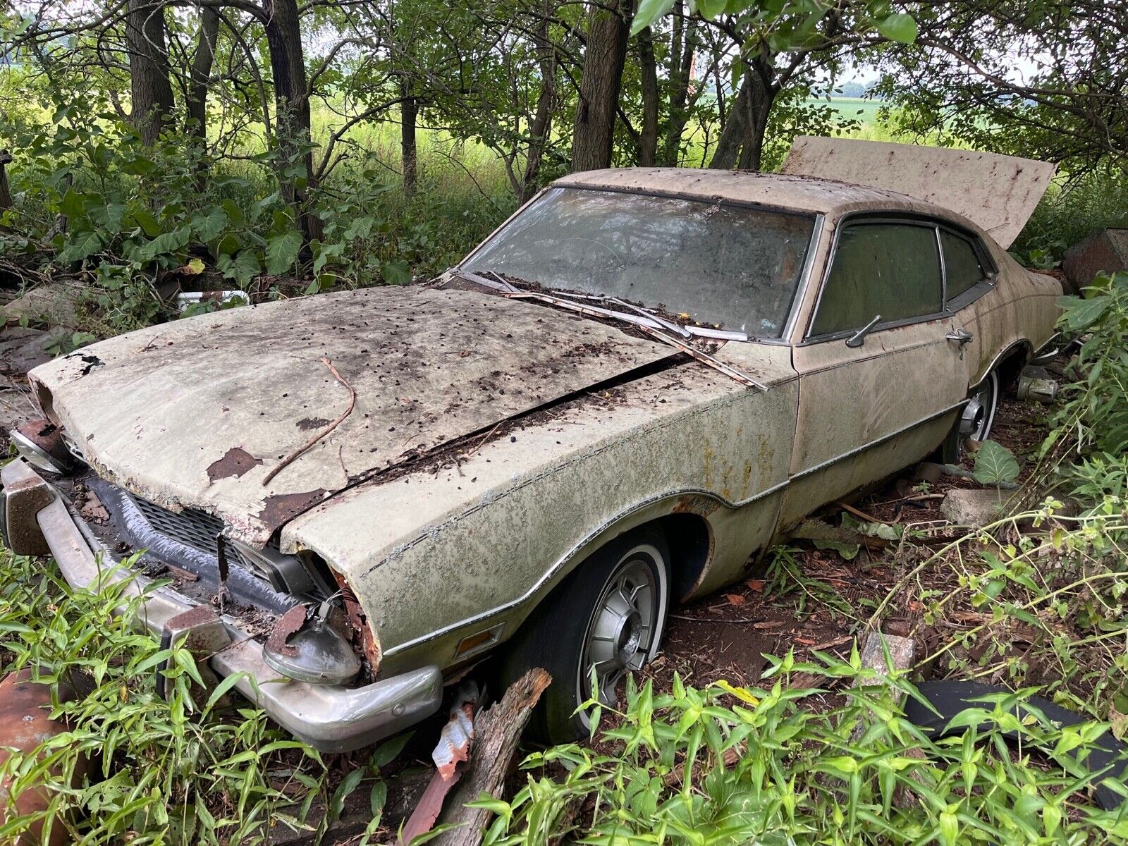 this 1973 ford was forgotten in a barn that fell apart now abandoned in the woods 194808 1