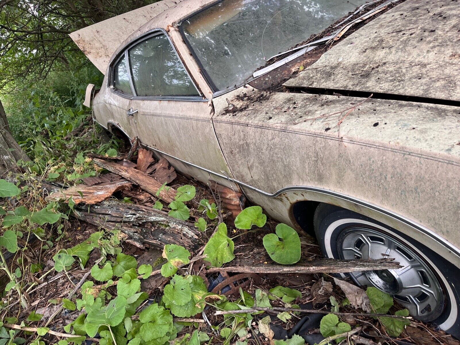 this 1973 ford was forgotten in a barn that fell apart now abandoned in the woods 2