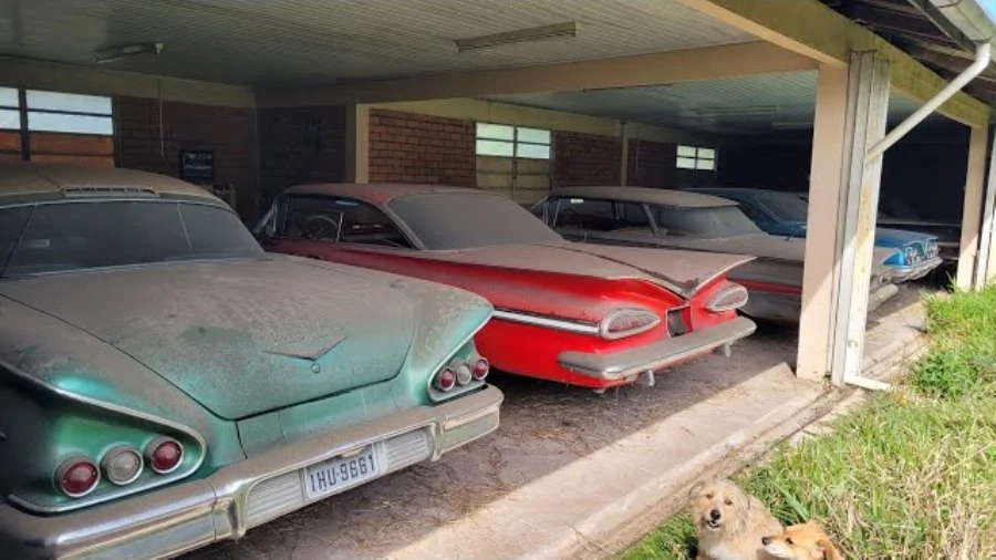 Coleção de carros antigos é encontrada no Rio Grande do Sul / Foto reprodução / Relíquias do Sul / Youtube